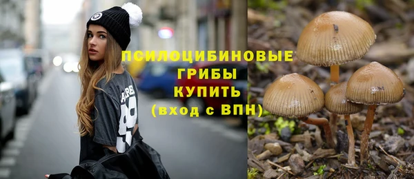 apvp Богданович