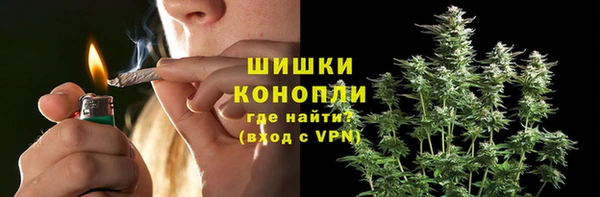 apvp Богданович