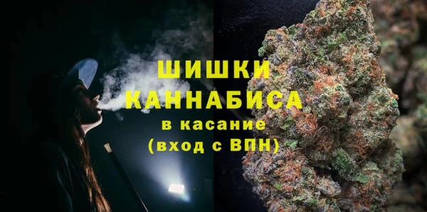 spice Богородск