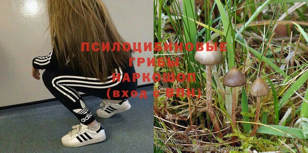apvp Богданович