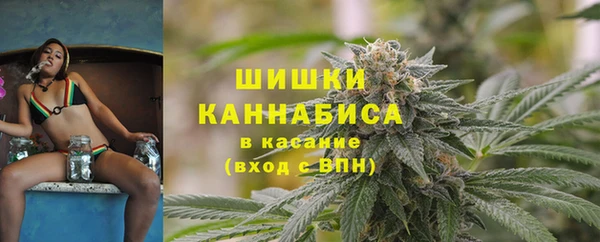 spice Богородск