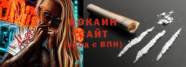 spice Богородск