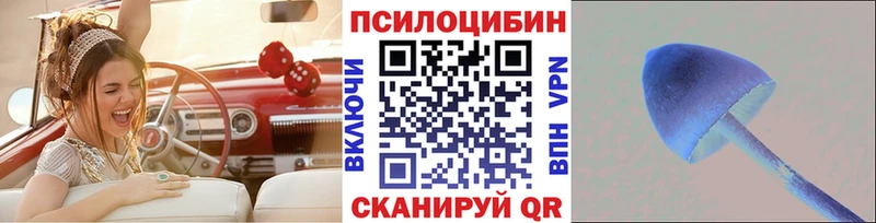Галлюциногенные грибы мицелий  Севастополь 